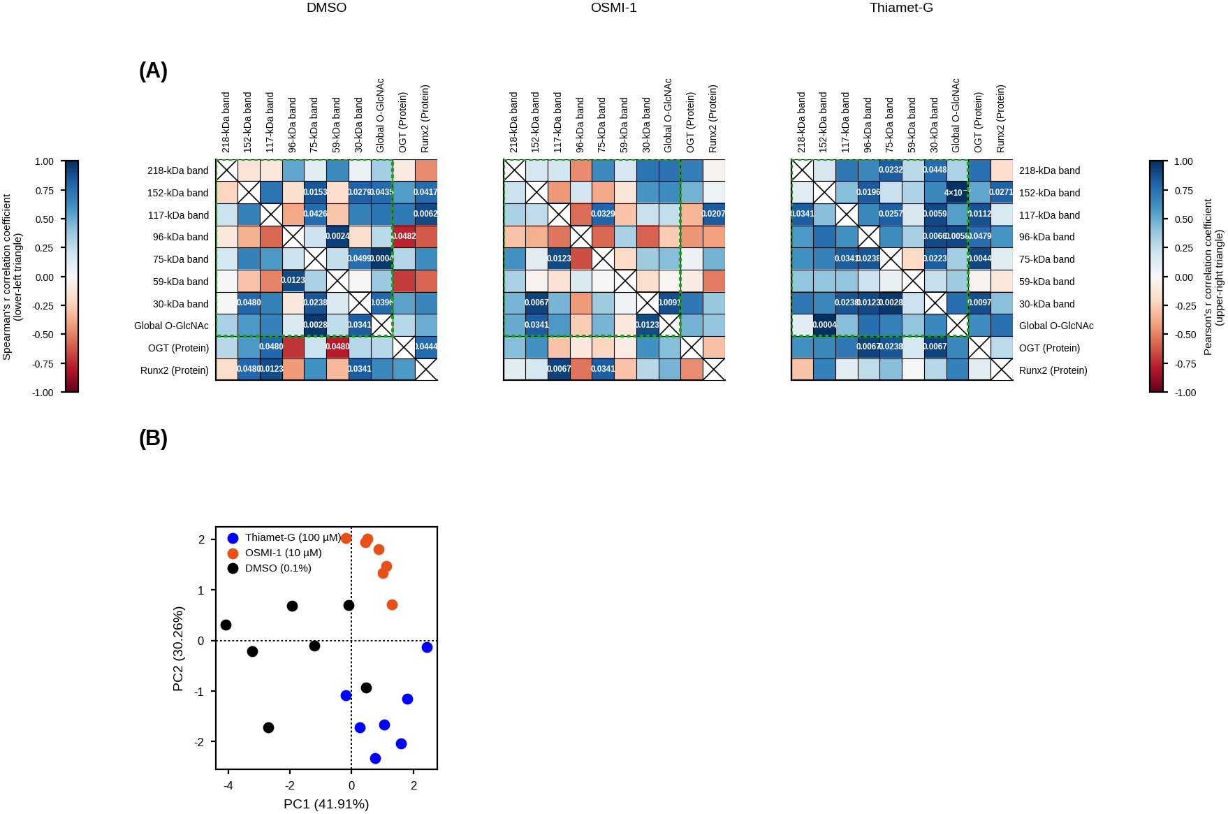 Split Spearman and Pearson correlation heatmaps with exact p-values, and a PCA scores plot